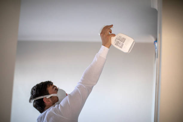 Best Mold Testing  in Willow Grove, PA