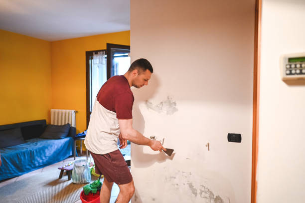 Best Crawl Space Mold Removal  in Willow Grove, PA